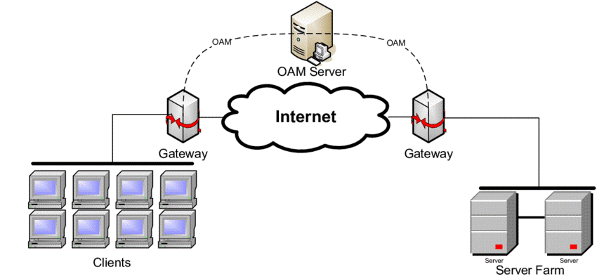 Network Architecture & Operation